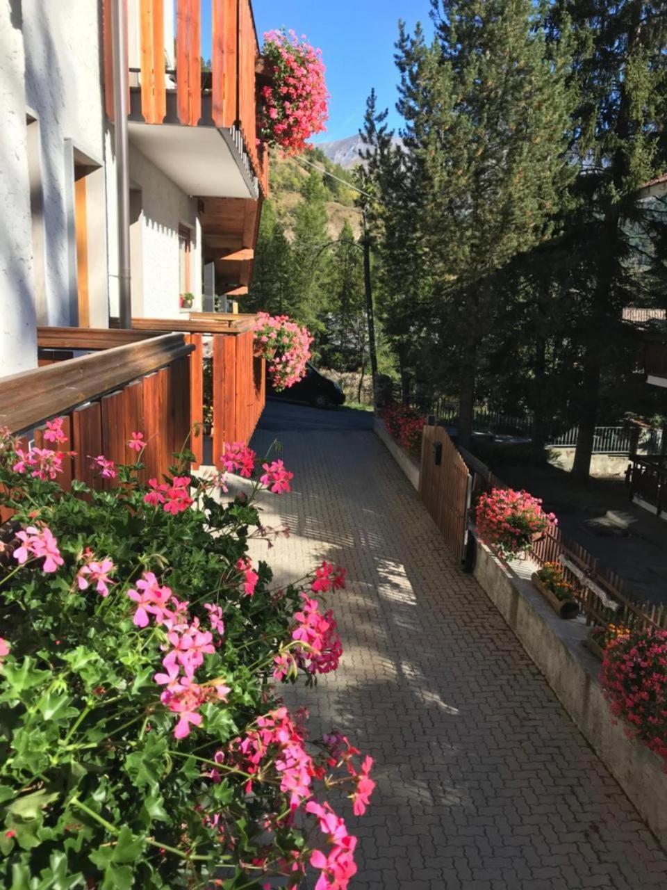 Hotel La Nigritella Бардонечия Екстериор снимка